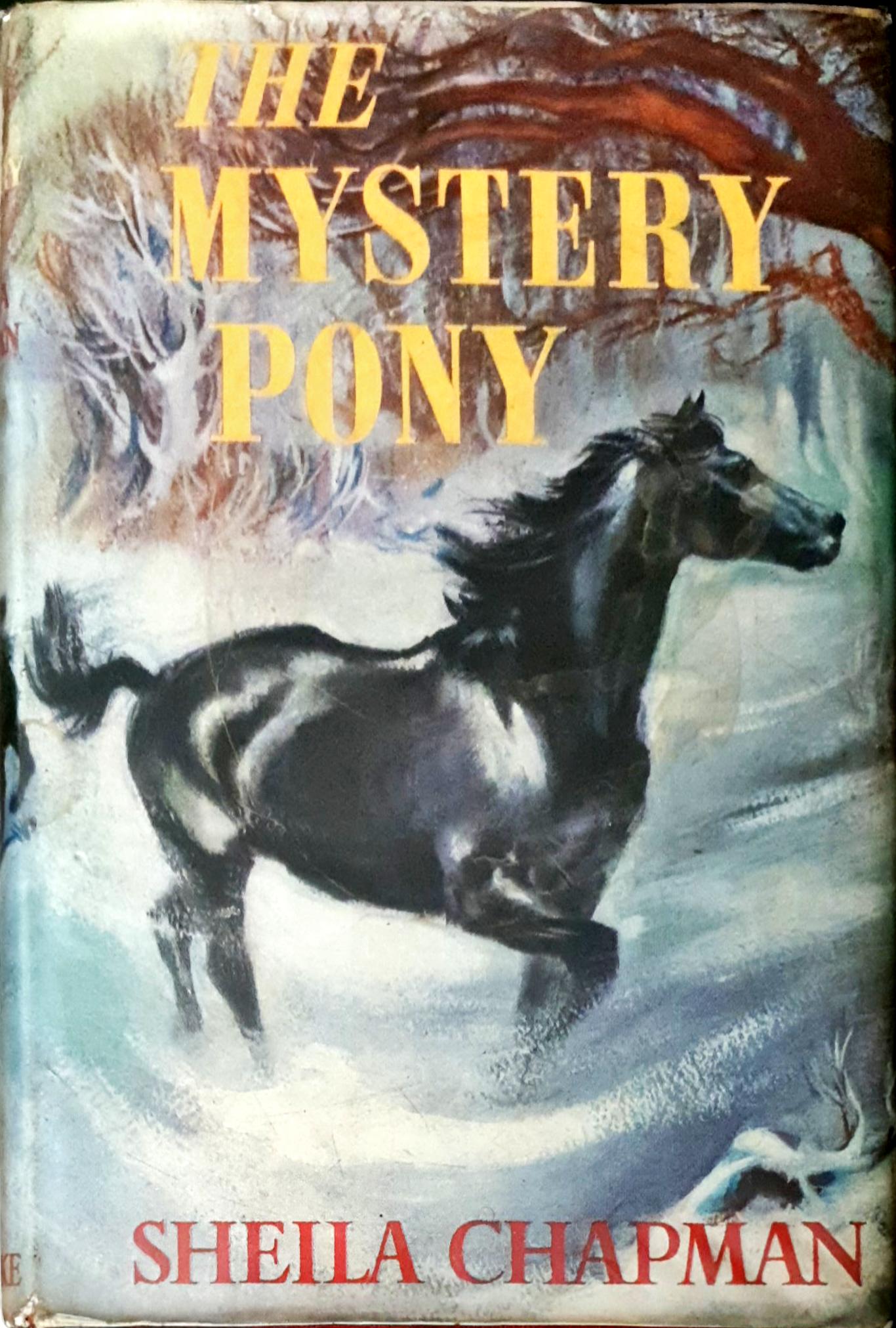 The Mystery Pony